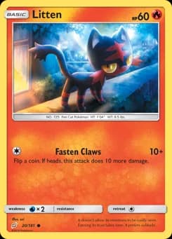 Litten Team Up 20