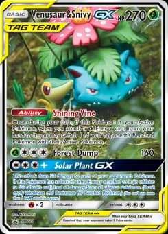 Venusaur & Snivy-GX SM Black Star Promos SM229