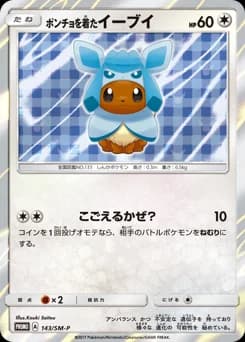 Poncho-wearing Eevee