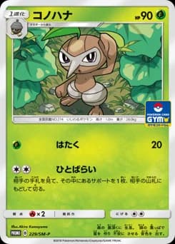 Skiddo