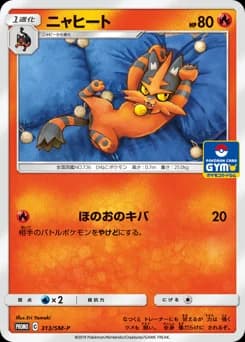 Torracat