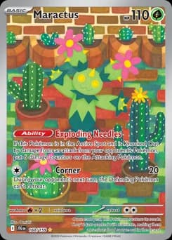 Maractus