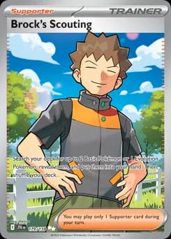 Brock's Scouting Journey Together 179