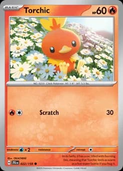 Torchic