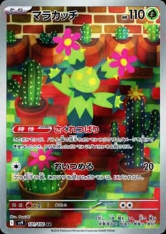 Cacnea