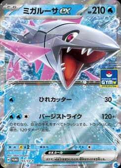 Swampert ex