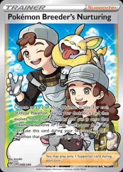 Pokémon Breeder's Nurturing Darkness Ablaze 188