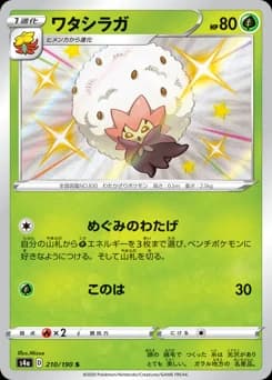 Whimsicott