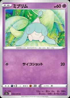 Minccino