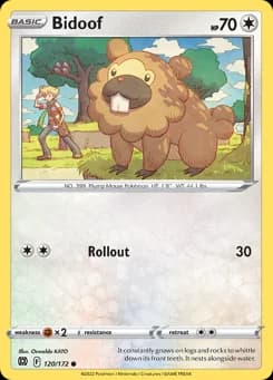 Bidoof Brilliant Stars 120