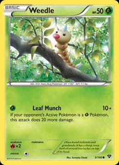 Weedle XY 3