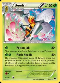 Beedrill XY 5