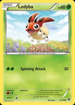 Ledyba XY 6