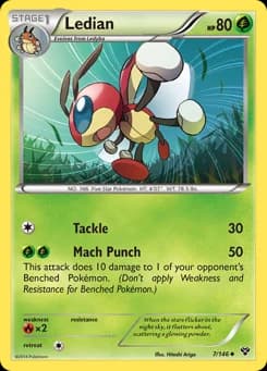 Ledian XY 7