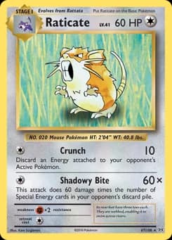 Raticate Evolutions 67