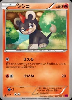 Litleo