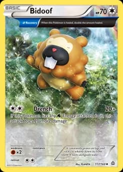 Bidoof Primal Clash 117