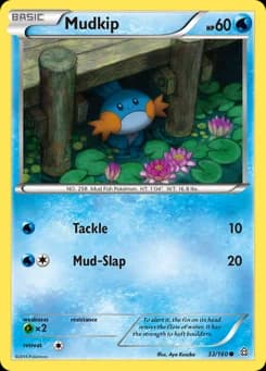 Mudkip Primal Clash 33