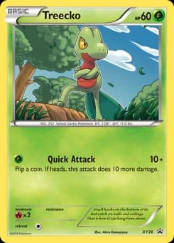 Treecko XY Black Star Promos XY36
