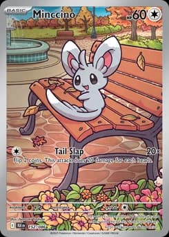 Minccino