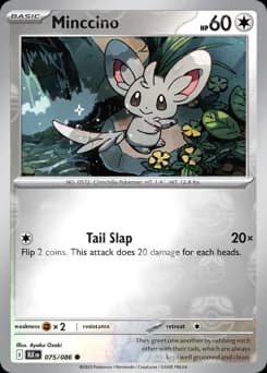 Minccino