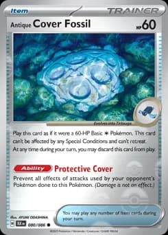 Antique Cover Fossil